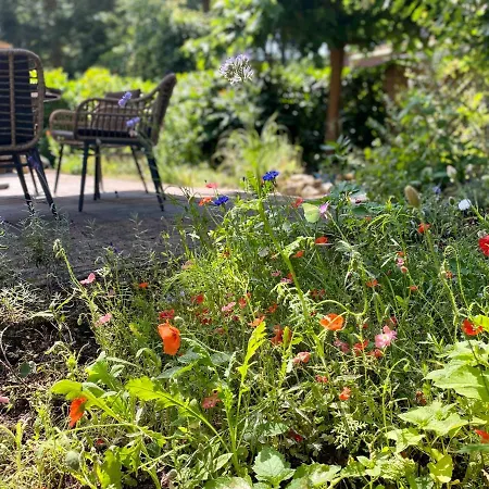 Aan De Bosrand - Veluwe Holiday home