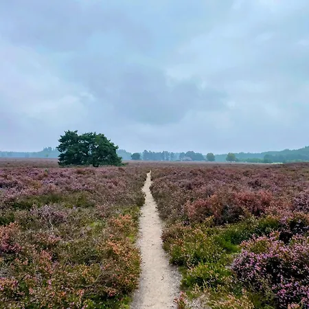 Aan De Bosrand - Veluwe * Epe