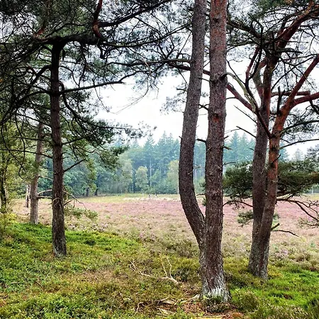 Aan De Bosrand - Veluwe Holiday home
