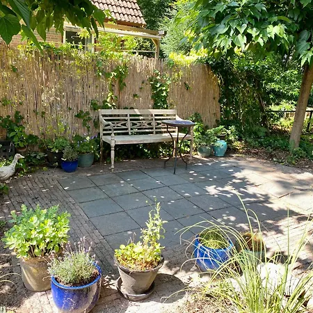 Aan De Bosrand - Veluwe * Epe