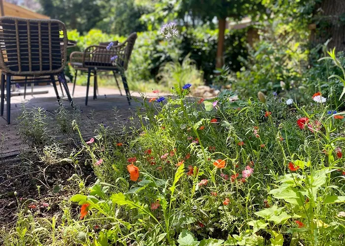 Aan De Bosrand - Veluwe Casa vacanze