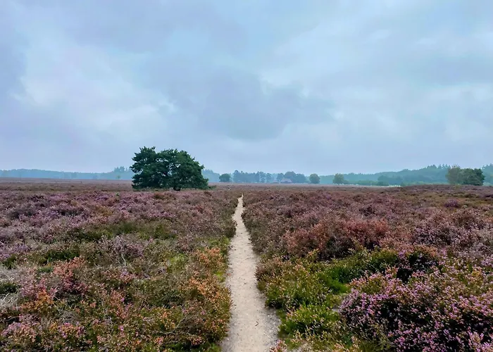 Aan De Bosrand - Veluwe * Epe