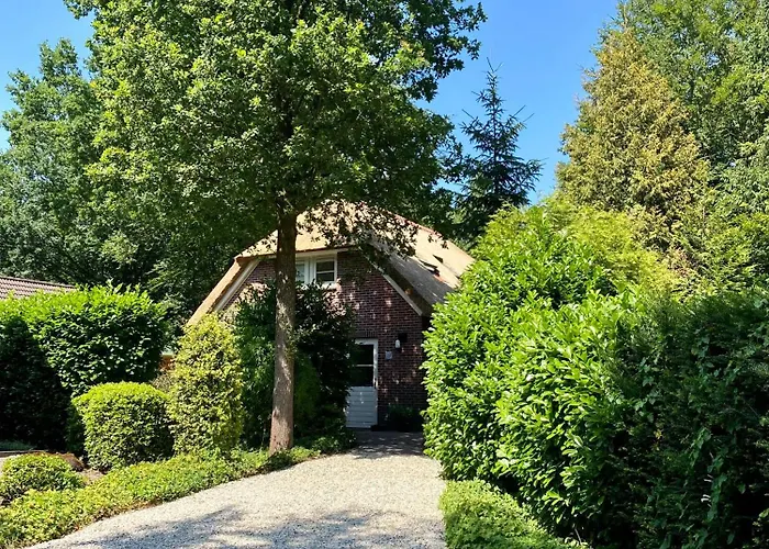 Aan De Bosrand - Veluwe * Epe