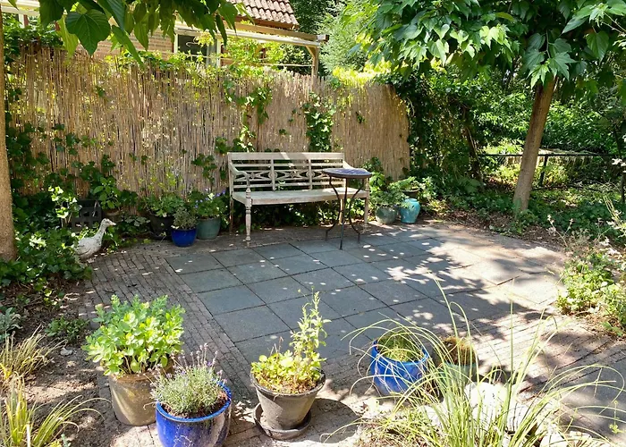 Aan De Bosrand - Veluwe * Epe