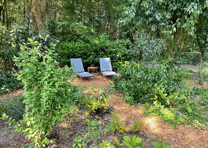 Casa vacanze Aan De Bosrand - Veluwe