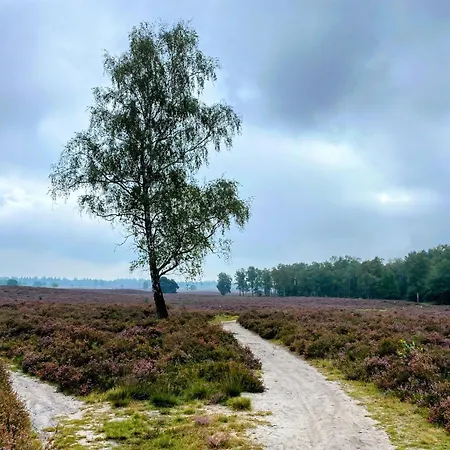 Ferienhaus Aan De Bosrand - Veluwe