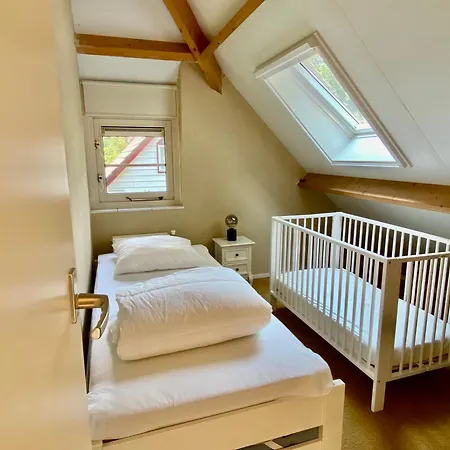 Aan De Bosrand - Veluwe