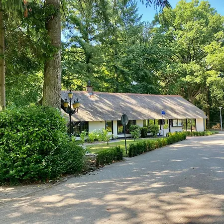 Aan De Bosrand - Veluwe