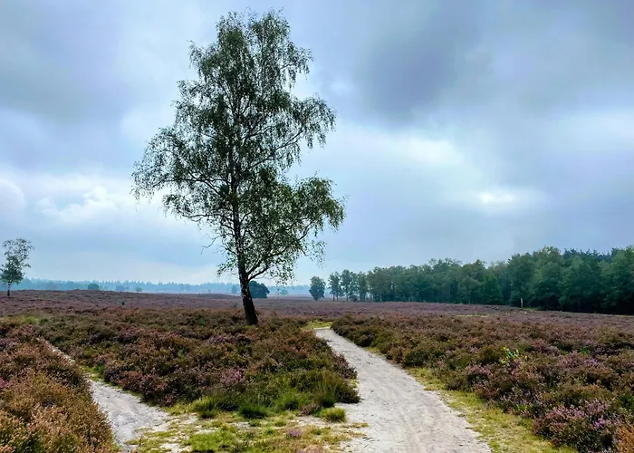 펜션 Aan De Bosrand - Veluwe