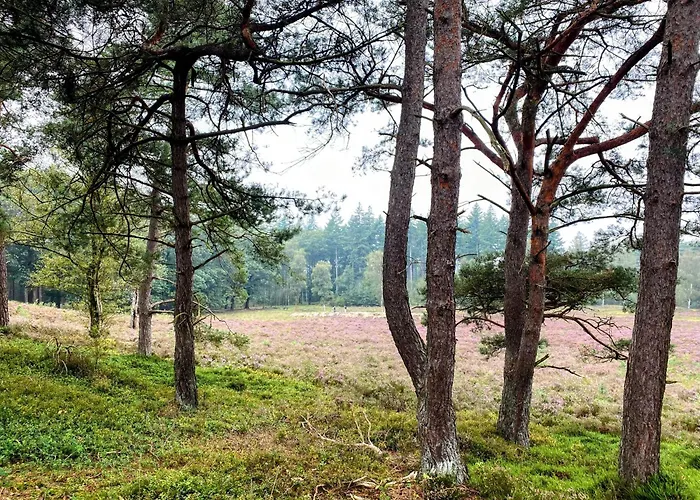 Aan De Bosrand - Veluwe 펜션