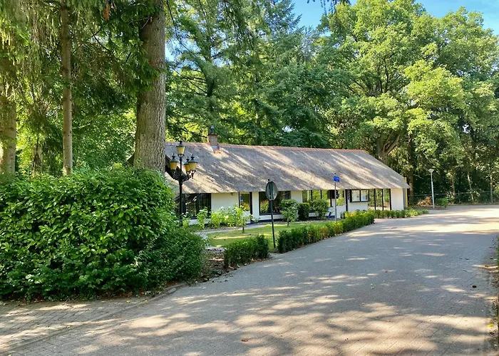 Aan De Bosrand - Veluwe